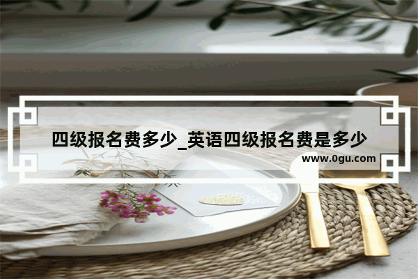四级报名费多少_英语四级报名费是多少