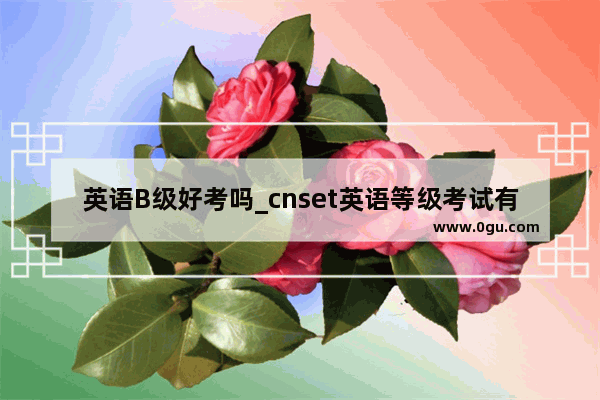 英语B级好考吗_cnset英语等级考试有用吗