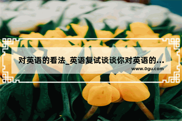对英语的看法_英语复试谈谈你对英语的看法