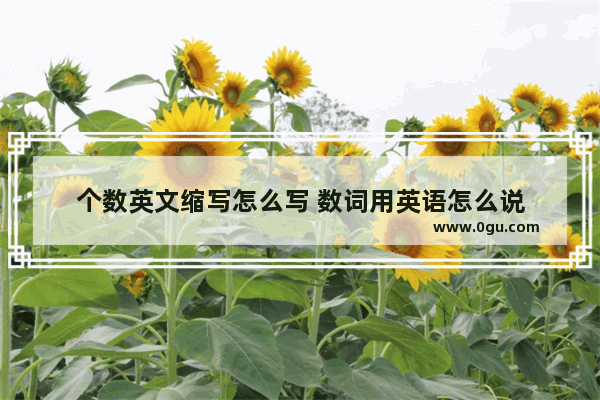 个数英文缩写怎么写 数词用英语怎么说