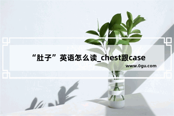 “肚子”英语怎么读_chest跟case区别