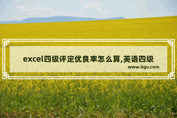 excel四级评定优良率怎么算,英语四级单词excel