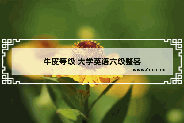 牛皮等级 大学英语六级整容