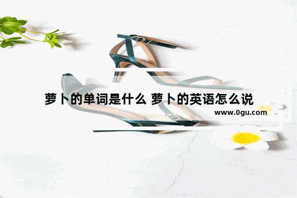 萝卜的单词是什么 萝卜的英语怎么说