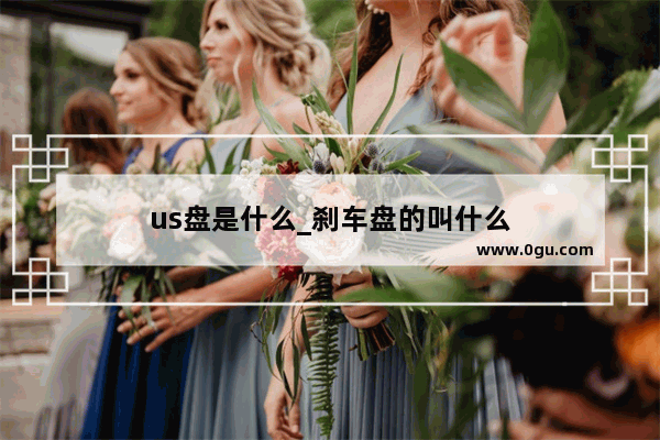 us盘是什么_刹车盘的叫什么