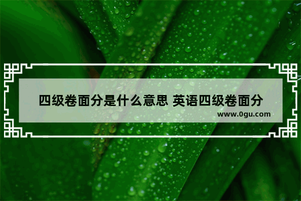 四级卷面分是什么意思 英语四级卷面分