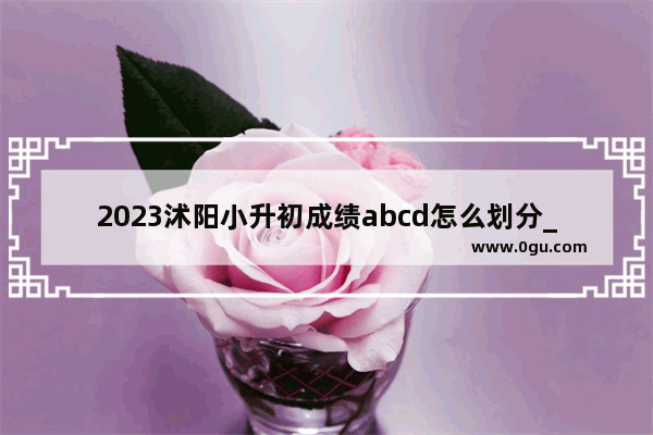 2023沭阳小升初成绩abcd怎么划分_2021年宿迁小升初总分多少分