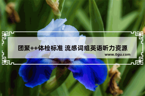 团聚++体检标准 流感词组英语听力资源