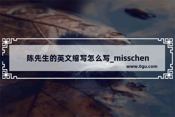 陈先生的英文缩写怎么写_misschen中文意思？英语