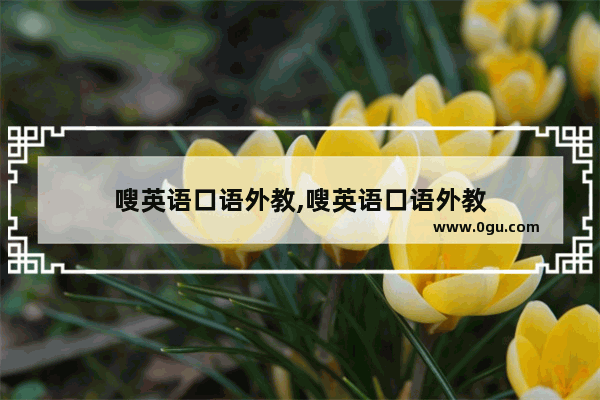 嗖英语口语外教,嗖英语口语外教