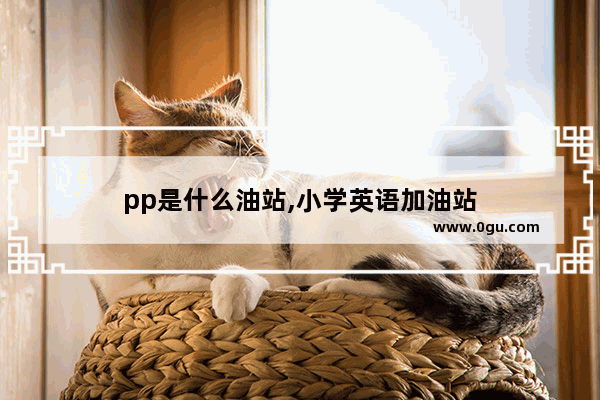 pp是什么油站,小学英语加油站