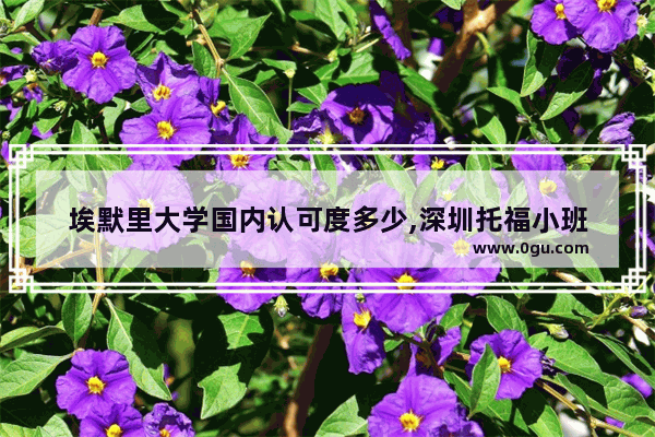 埃默里大学国内认可度多少,深圳托福小班