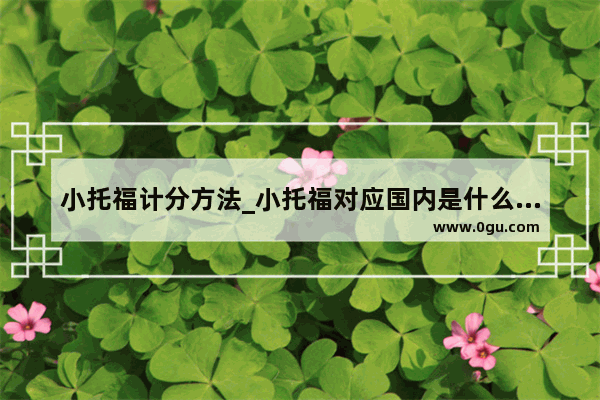 小托福计分方法_小托福对应国内是什么标准