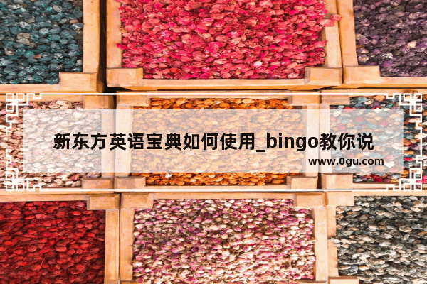 新东方英语宝典如何使用_bingo教你说美语的那个bingo老师叫什么名字 有没有他的个人基本资料