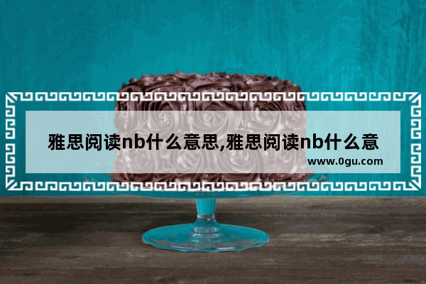 雅思阅读nb什么意思,雅思阅读nb什么意思