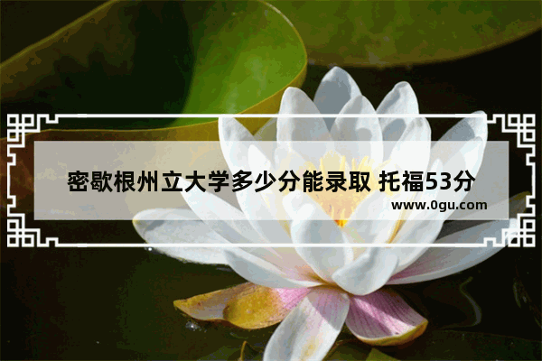 密歇根州立大学多少分能录取 托福53分