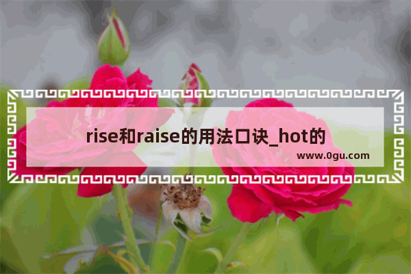 rise和raise的用法口诀_hot的名词英文