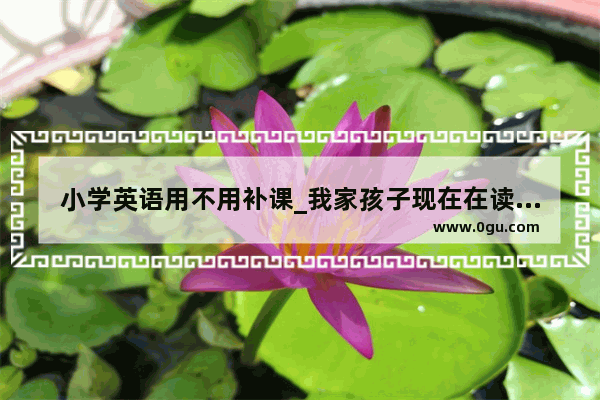小学英语用不用补课_我家孩子现在在读小学 英语成绩差 有没有必要报个补习班