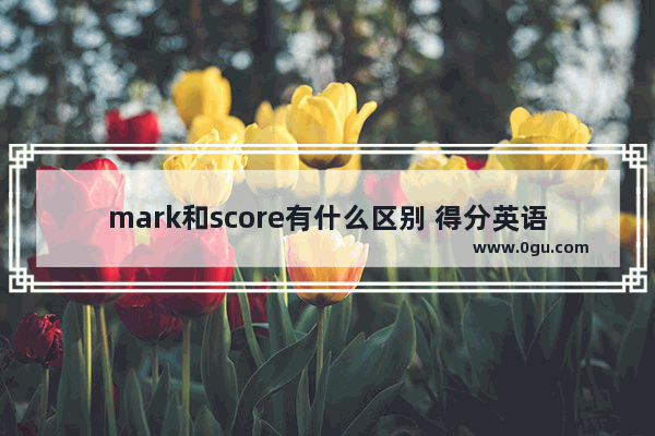 mark和score有什么区别 得分英语怎么说