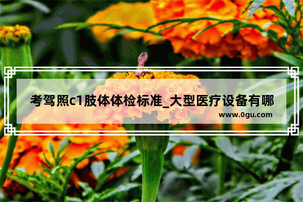 考驾照c1肢体体检标准_大型医疗设备有哪些