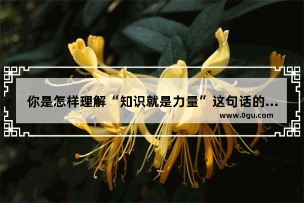 你是怎样理解“知识就是力量”这句话的,知识就是力量英语作文