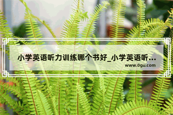小学英语听力训练哪个书好_小学英语听力和阅读理解哪个好