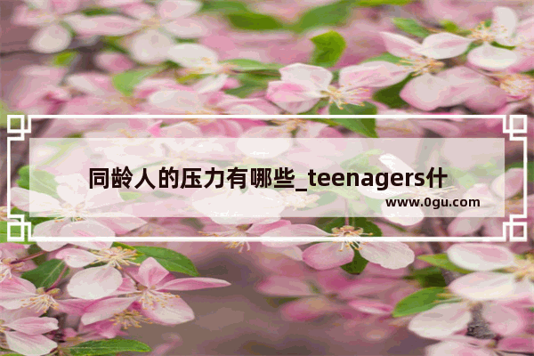 同龄人的压力有哪些_teenagers什么中文意思