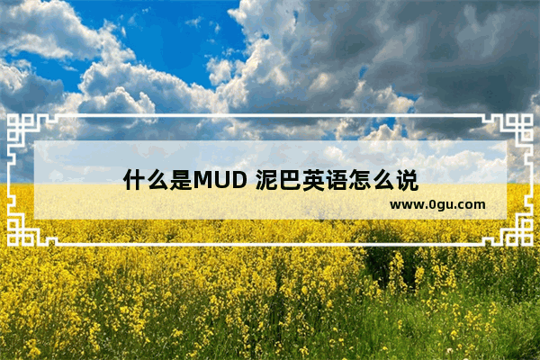 什么是MUD 泥巴英语怎么说