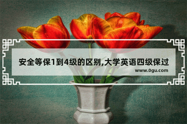安全等保1到4级的区别,大学英语四级保过