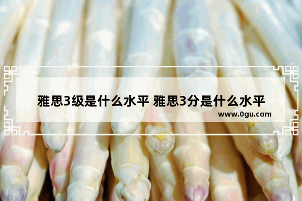 雅思3级是什么水平 雅思3分是什么水平