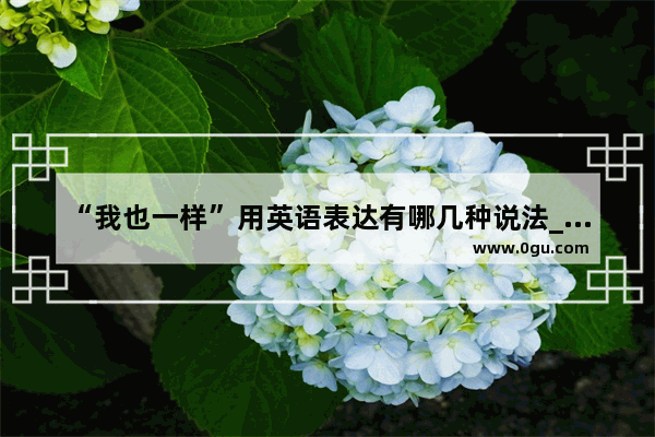 “我也一样”用英语表达有哪几种说法_单复数同形的单词三种动物,三个国家
