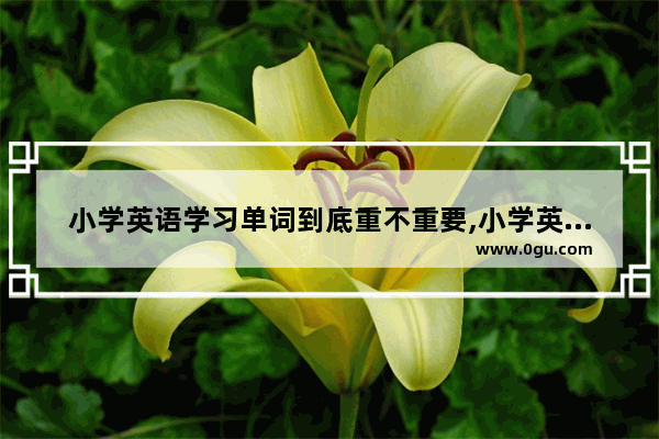 小学英语学习单词到底重不重要,小学英语好不好