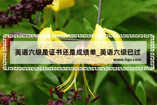 英语六级是证书还是成绩单_英语六级已过 如何申请证书