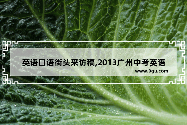 英语口语街头采访稿,2013广州中考英语口语