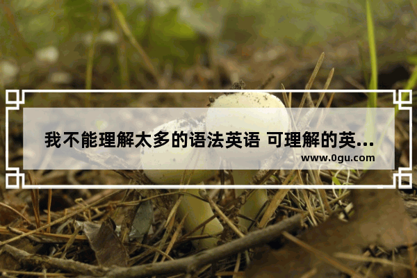 我不能理解太多的语法英语 可理解的英语语法