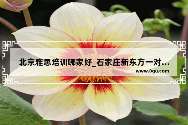 北京雅思培训哪家好_石家庄新东方一对一的雅思老师怎么样啊