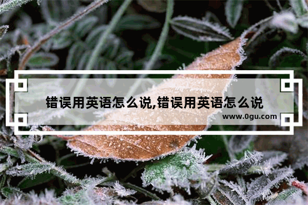 错误用英语怎么说,错误用英语怎么说