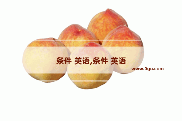 条件 英语,条件 英语