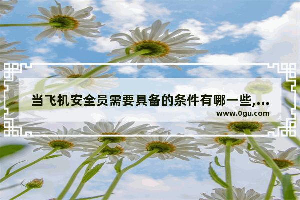 当飞机安全员需要具备的条件有哪一些,单杠2练习英语口语