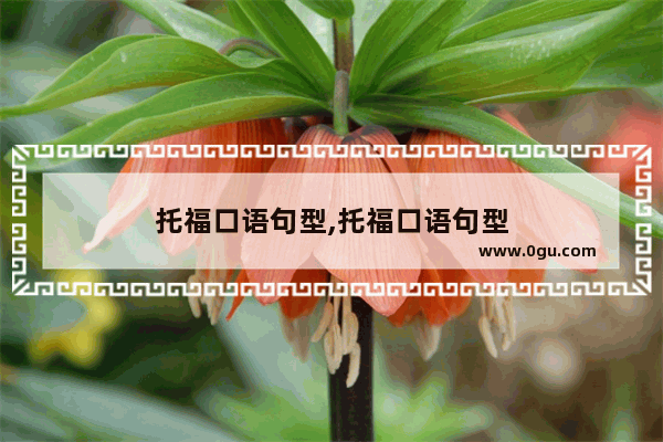托福口语句型,托福口语句型