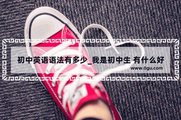 初中英语语法有多少_我是初中生 有什么好的语法学习方法吗。或推荐几本书