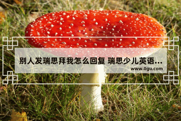 别人发瑞思拜我怎么回复 瑞思少儿英语口语