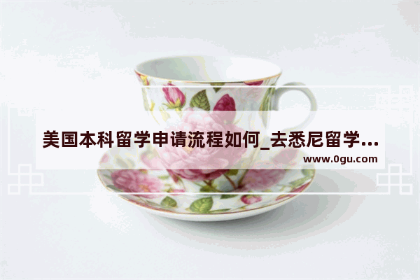 美国本科留学申请流程如何_去悉尼留学需要带些什么