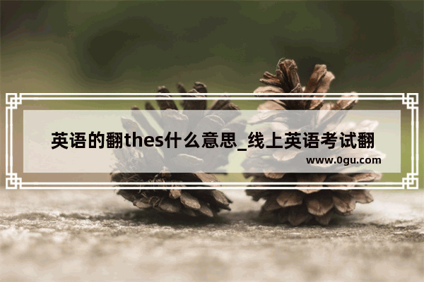 英语的翻thes什么意思_线上英语考试翻车了