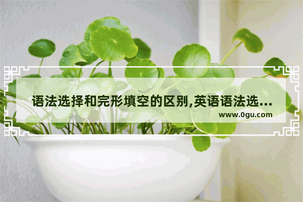 语法选择和完形填空的区别,英语语法选择常见单词