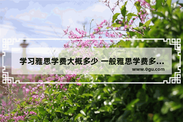 学习雅思学费大概多少 一般雅思学费多少钱
