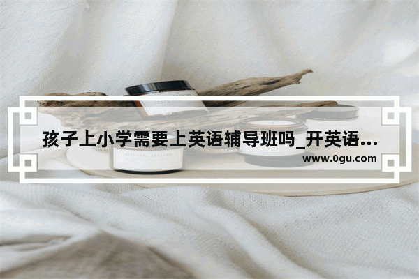 孩子上小学需要上英语辅导班吗_开英语辅导班怎样申请啊？需要什么条件啊