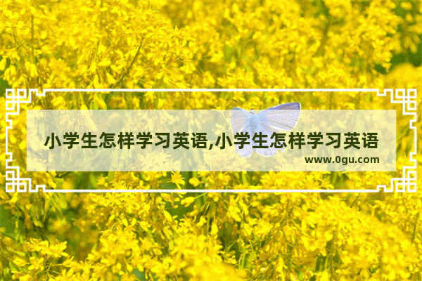 小学生怎样学习英语,小学生怎样学习英语