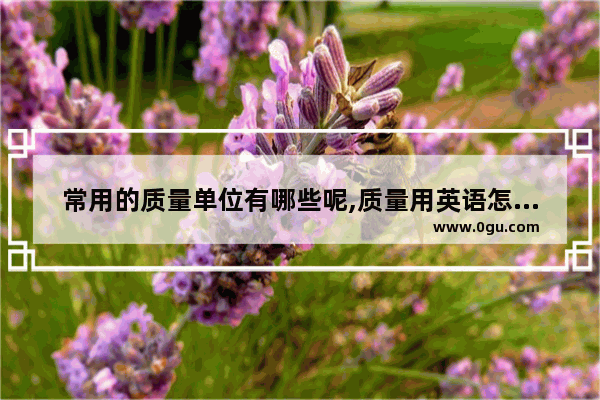 常用的质量单位有哪些呢,质量用英语怎么说