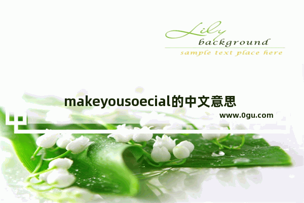 makeyousoecial的中文意思 特价英语怎么说